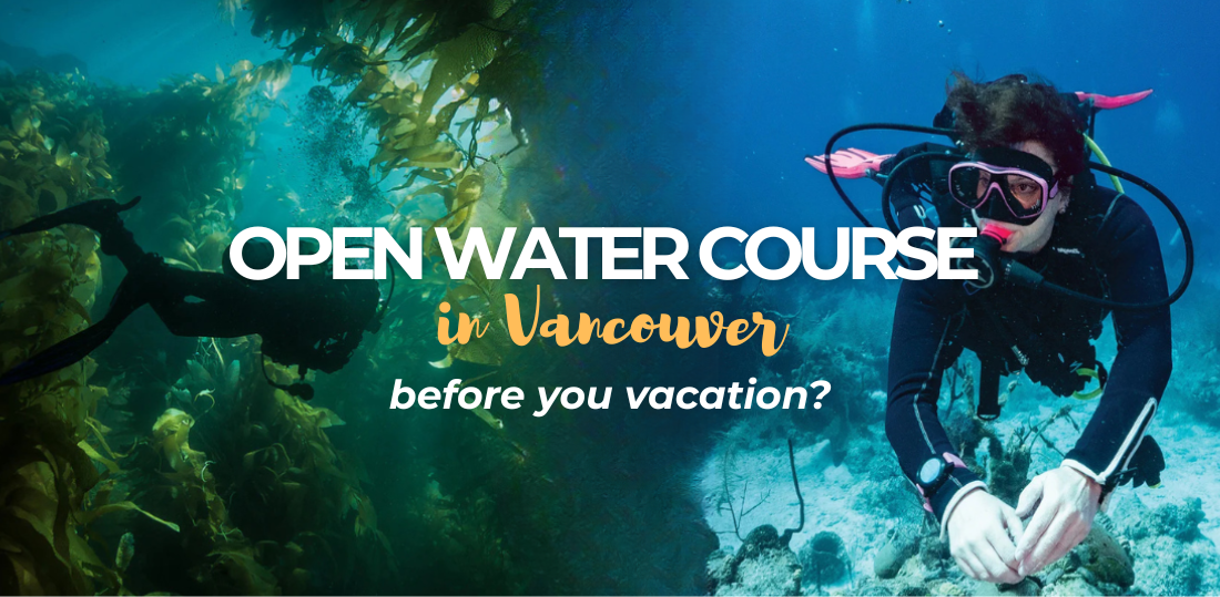 Why Take Your Open Water Referral or Full Course in Vancouver Before Your Dive Vacation?
