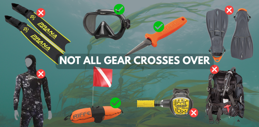 Freediving vs Scuba Diving: What Works, What Doesn’t (Cold Water)