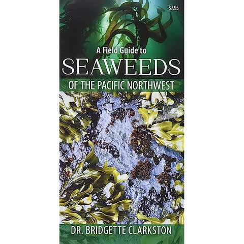 A Field Guide to Seaweeds of the PNW | Diving Sports Canada | Vancouver